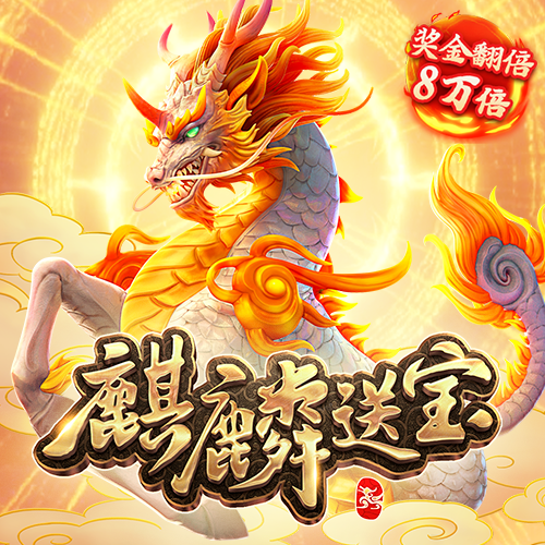 11133宝典下载14好